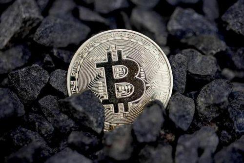 参与狗狗币的创新项目：如何评估其潜在价值_狗狗价值鉴定_狗狗币潜力