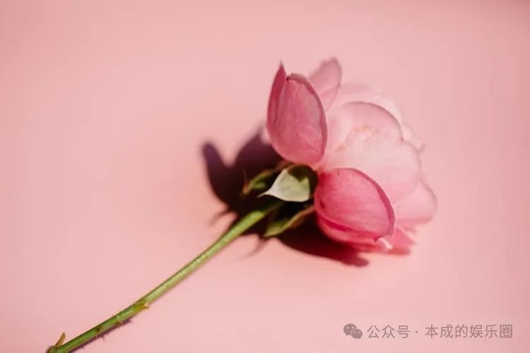 如何配置和调整苹果手机系统安全性？及时更新系统是关键