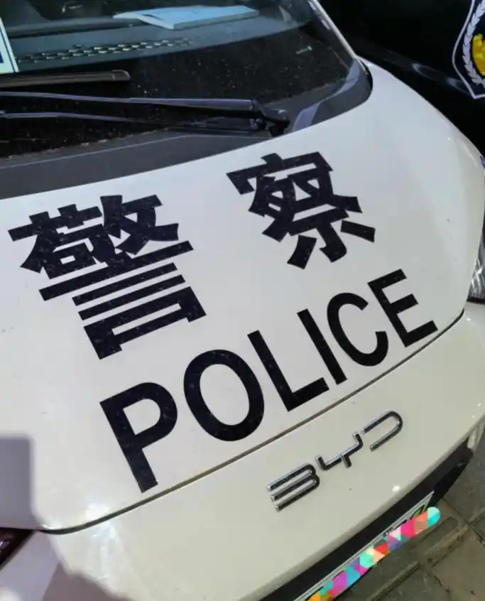 比亚迪海鸥新能源汽车_比亚迪海鸥的性价比究竟如何？_海鸥比亚迪