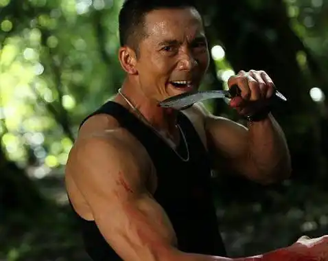 赵文卓的经典武打角色与分析_赵文卓的武打片_赵文卓武打动作