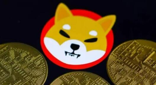 那些app可以观察币圈交易账号