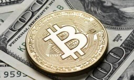 那些app可以观察币圈交易账号