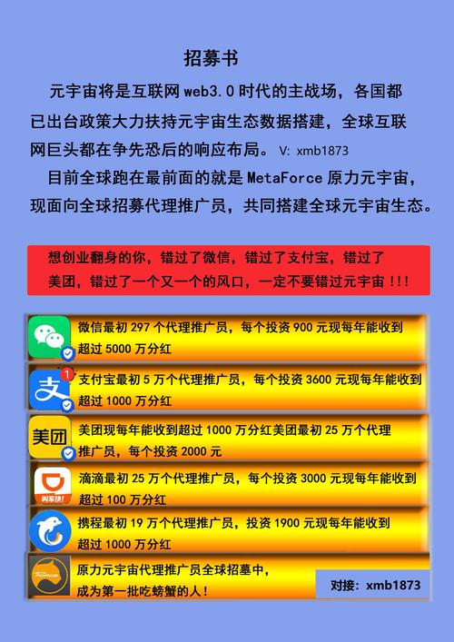 投资者迈向成功之路，官方正版Tp软件不可或缺