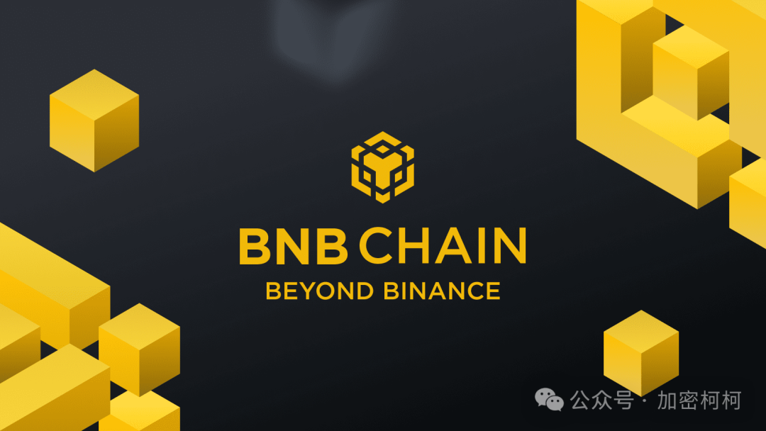 BNB Chain财富效应蔓延：Binance期货上线1000WHYUSDT和1000CHEEMSUSDT永续合约，DeFi生态再添新动力