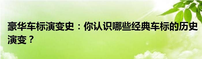 豪车劳斯莱斯_劳斯莱斯：奢华车标的背后故事_最奢华的劳斯莱斯